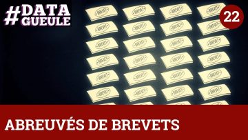 abreuves-de-brevets-datagueule-2