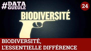 biodiversite-lessentielle-differ