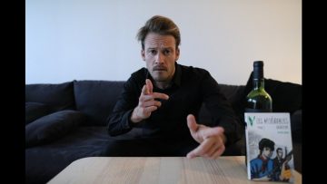 bonjour-tristesse-86-gilets-jaun