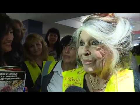 Brigitte Bardot, invitée-surprise d’une réunion de gilets jaunes dans le Var