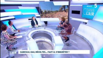 canicule-eau-recoltes-faut-il-si