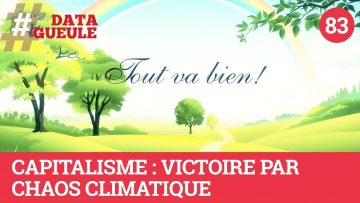 capitalisme-victoire-par-chaos-c