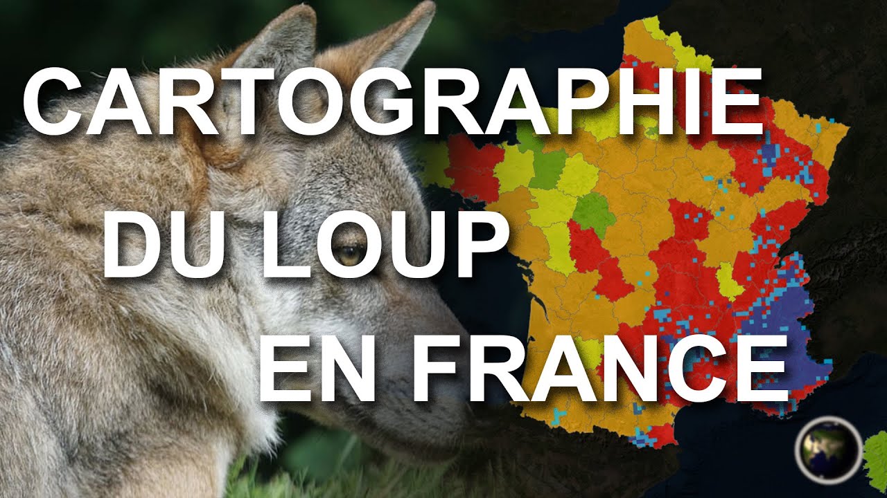 CARTOGRAPHIE DU LOUP EN FRANCE