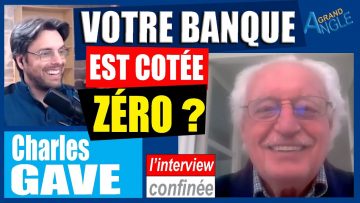 charles-gave-vos-banques-en-fail