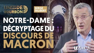 chroniques-de-macronie-fausse-im