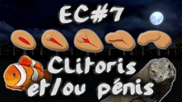 clitoris-et-ou-penis-le-sexe-bio