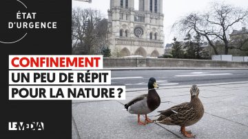 confinement-un-peu-de-repit-pour