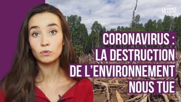 coronavirus-la-destruction-de-le