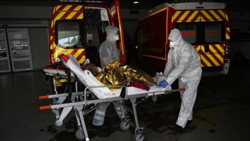 coronavirus-un-rapport-au-vitrio
