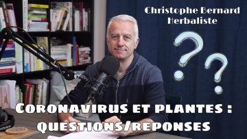 covid-19-et-plantes-qr1-armoise