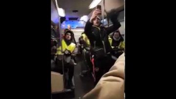 cynique-plusieurs-gilets-jaunes