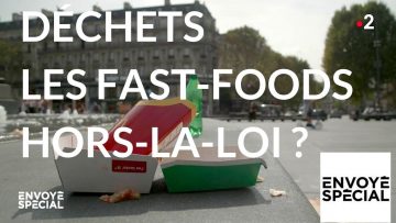 dechets-les-fast-foods-hors-la-l