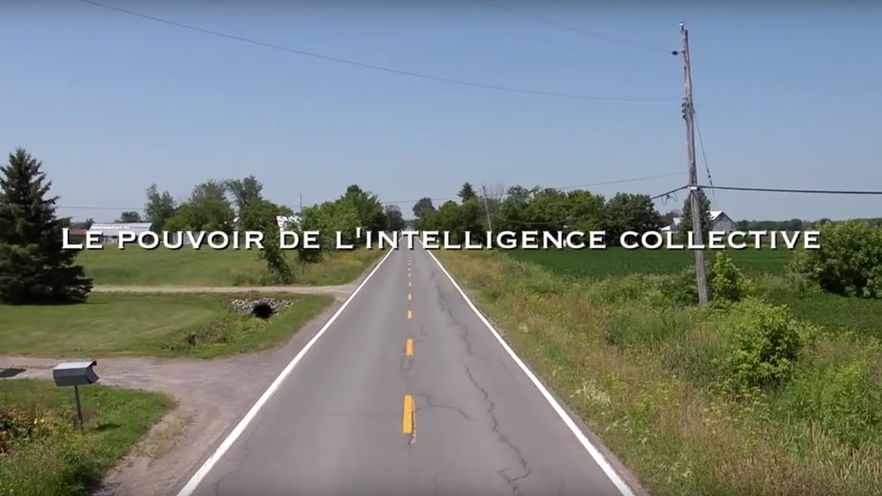 Documentaire “Le pouvoir de l’intelligence collective”