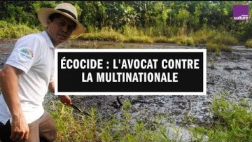 ecocide-en-amazonie-lavocat-cont