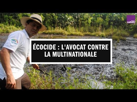 Écocide en Amazonie : l’avocat contre la multinationale