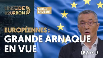 europeennes-grande-arnaque-en-vu