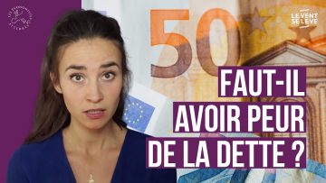 faut-il-avoir-peur-de-la-dette