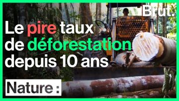 foret-amazonienne-pire-taux-de-d