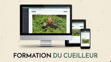 formation-en-ligne-plantes-botan