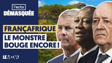 francafrique-le-monstre-bouge-en