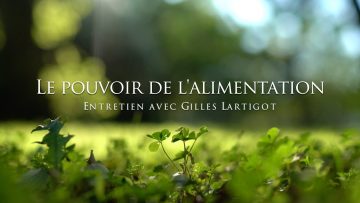 gilles-lartigot-le-pouvoir-de-la