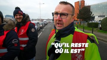 grevistehavre