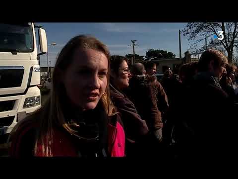 Ingrandes-sur-Vienne : les salariés d’Aigle en grève pour les salaires
