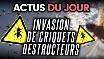 invasion-mortelle-de-criquets-em