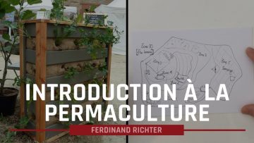 je-permaculture-2-quoi-faire-sur