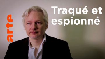 julian-assange-revelations-despi