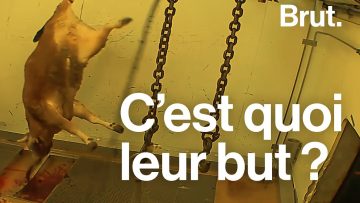 l214-cest-quoi-leur-but