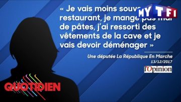 la-triste-realite-des-deputes-je