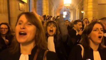 laction-des-avocats-au-palais-de