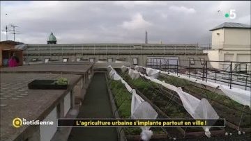 lagriculture-urbaine-simplante-p
