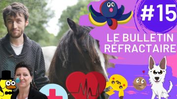 le-covid-mais-surtout-des-chevau