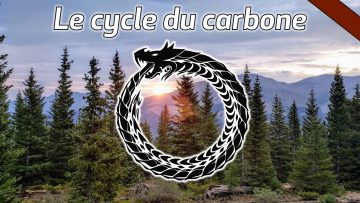 le-cycle-du-carbone-carbone1