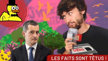 le-darmanin-qui-cache-la-foret