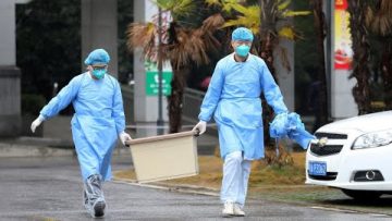 le-nouveau-virus-decouvert-en-ch