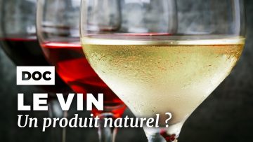 le-vin-est-il-toujours-un-produi