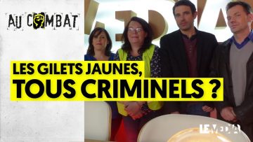 les-gilets-jaunes-tous-criminels