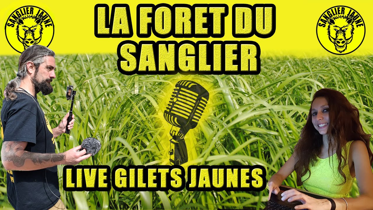 Live – Gilets Jaunes “La Forêt du Sanglier” Présentation