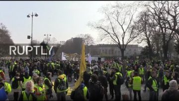 live-yellow-vests-hold-fresh-pro