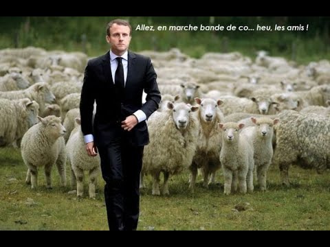 Macron, le guide des broutards… parodie “en marchant”
