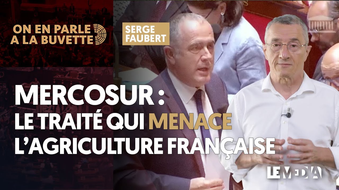 MERCOSUR : LE TRAITÉ QUI MENACE L’AGRICULTURE FRANÇAISE