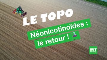 neonicotinoides-le-retour