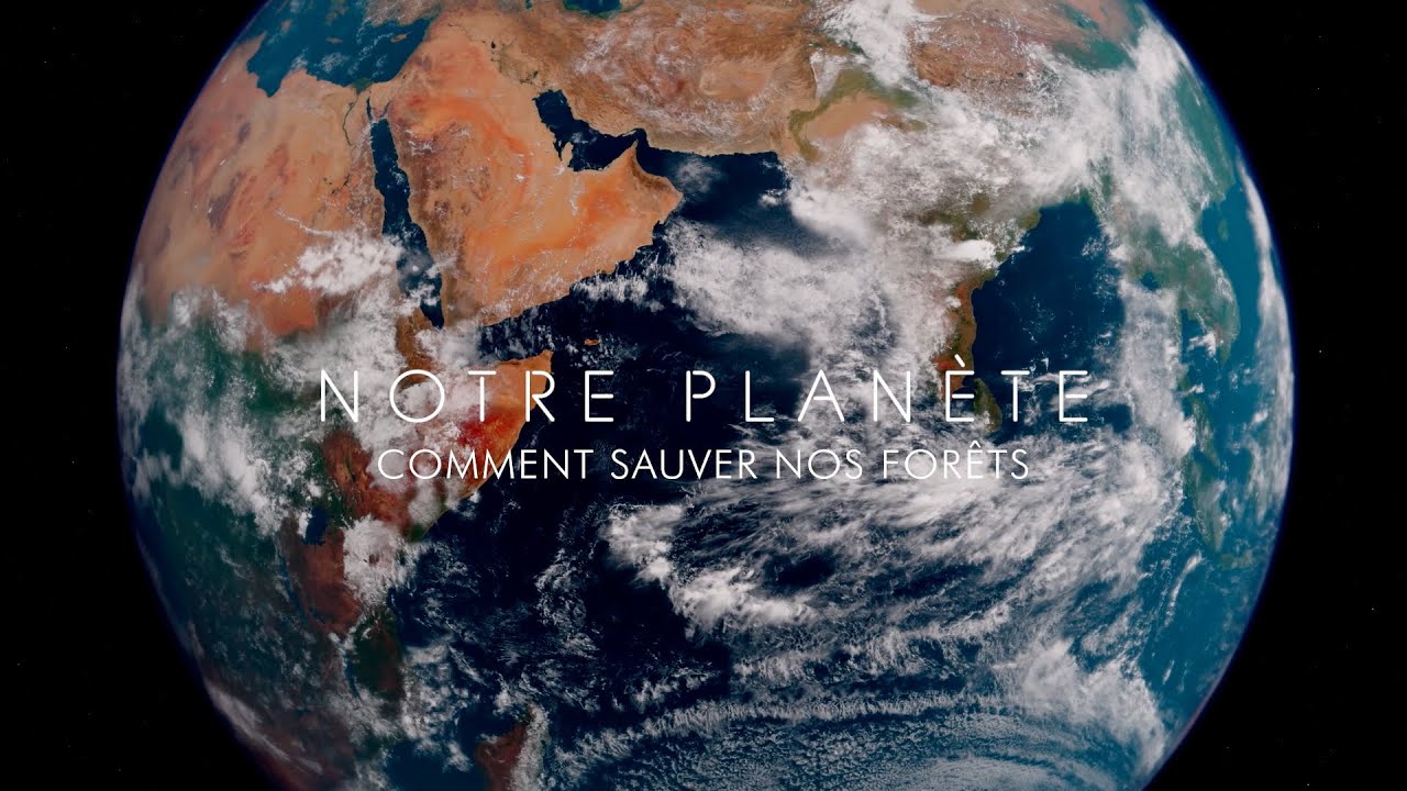 Notre Planète : comment sauver nos forêts ?