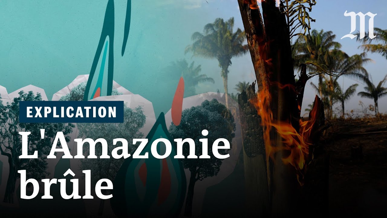 Pourquoi l’Amazonie brûle et pourquoi c’est grave