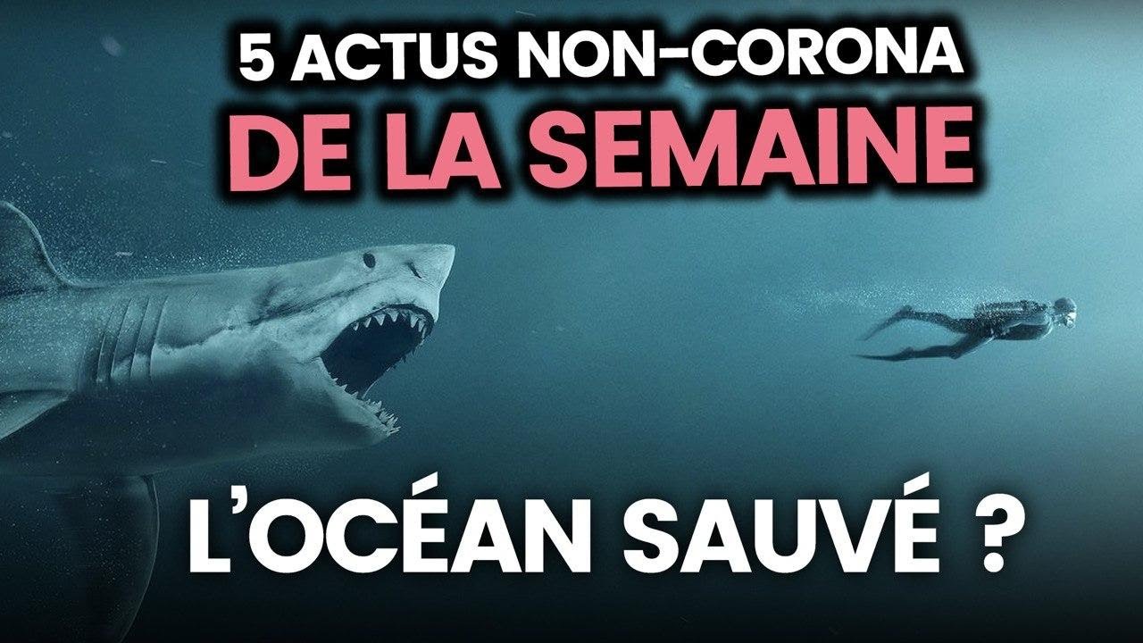 Présidentielle américaine, environnement sauvé, BTS… Les 5 actus non-corona de la semaine