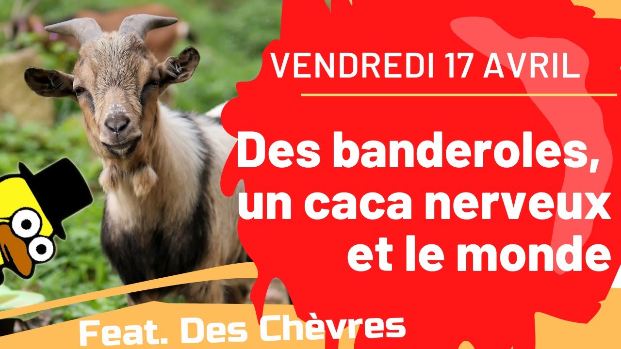 Revue de Presse : Vendredi 17 Avril – Des banderoles, un caca nerveux et le monde – Ft. Des chèvres