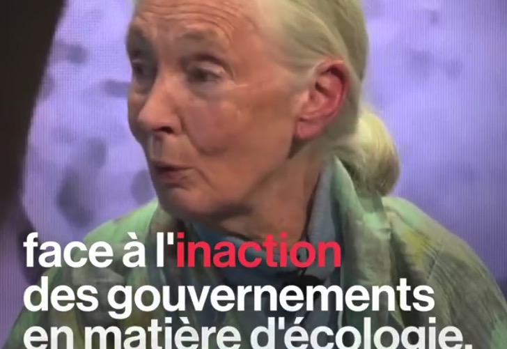 Le discours de Jane Goodall à Davos